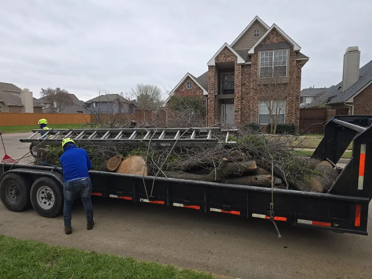 Expert Lot Clearing with proper safety equipment in Gary